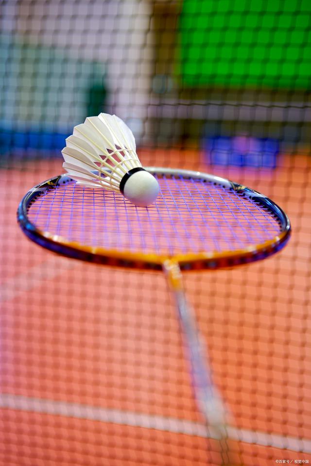 反映了不同 反映了不同