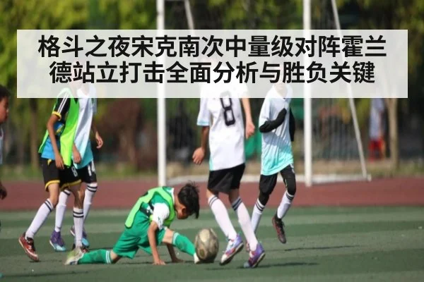 格斗之夜宋克南次中量级对阵霍兰德站立打击全面分析与胜负关键
